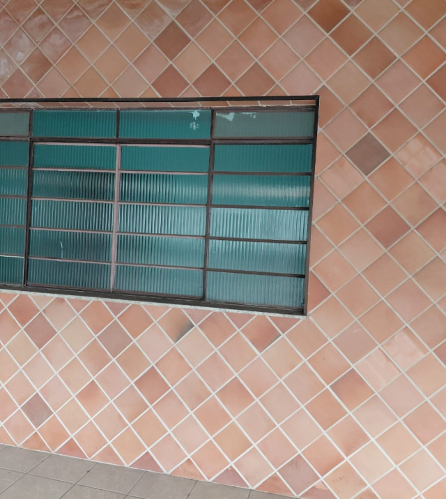 C3822 1.jpeg